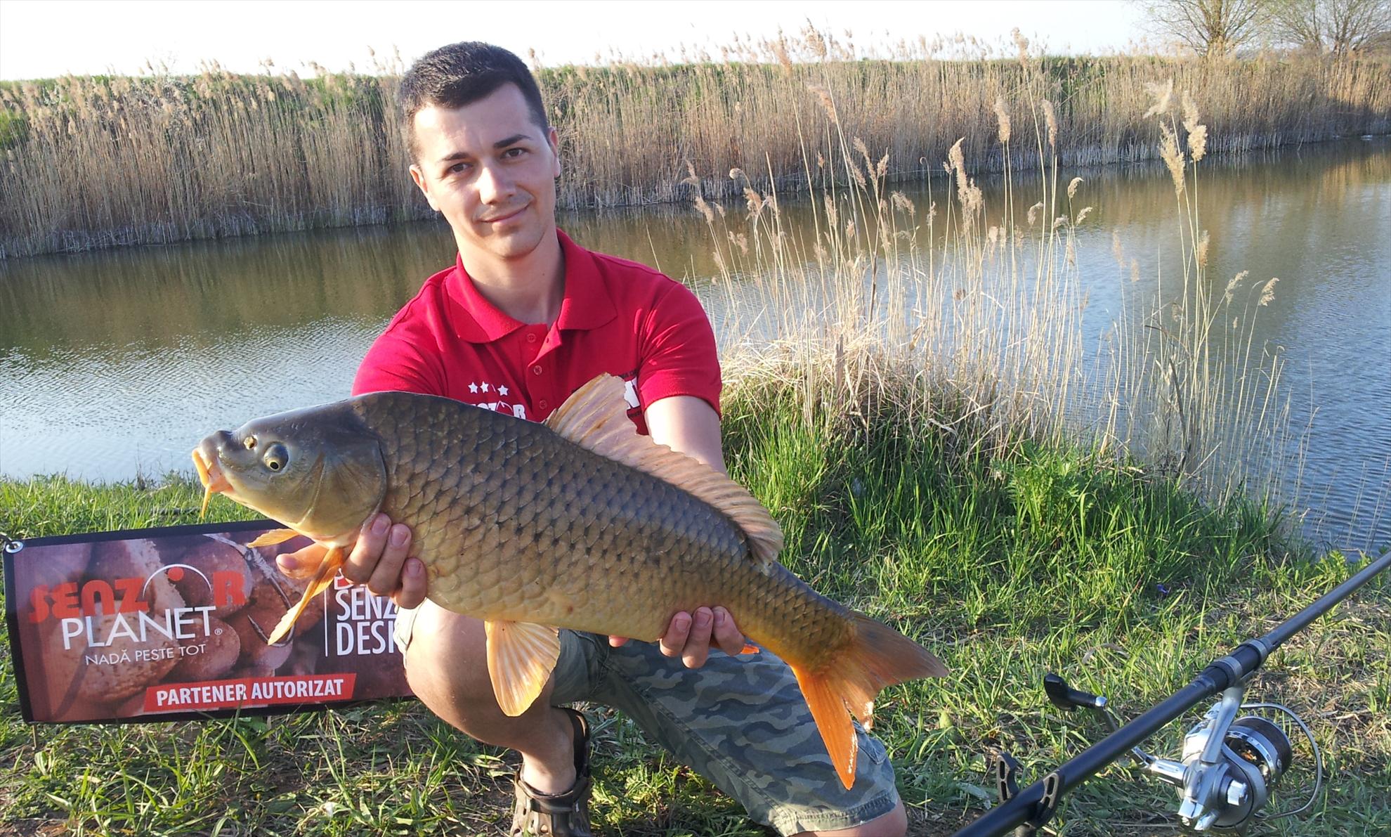 Balta TUPI TO  Ungaria - 20130418184933.jpg